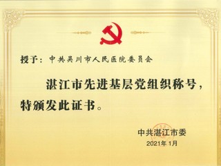 湛江市先进基层党组织