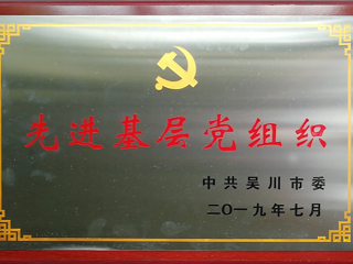 先进基层党组织