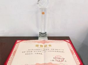 我院工会获市总工会“云”上运动会“优秀组织奖”
