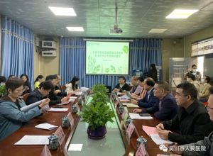 湛江市卫健局组织专家到我院开展全面提升医疗质量行动落实情况评估工作