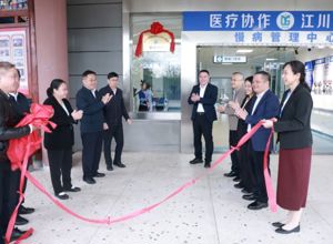 粤桂协作谱新篇：智慧慢病管理，吴川经验赋能广西三江