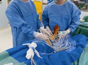 镜下“锈花”解伤痛｜我院骨外科一区成功开展踝关节镜微创技术